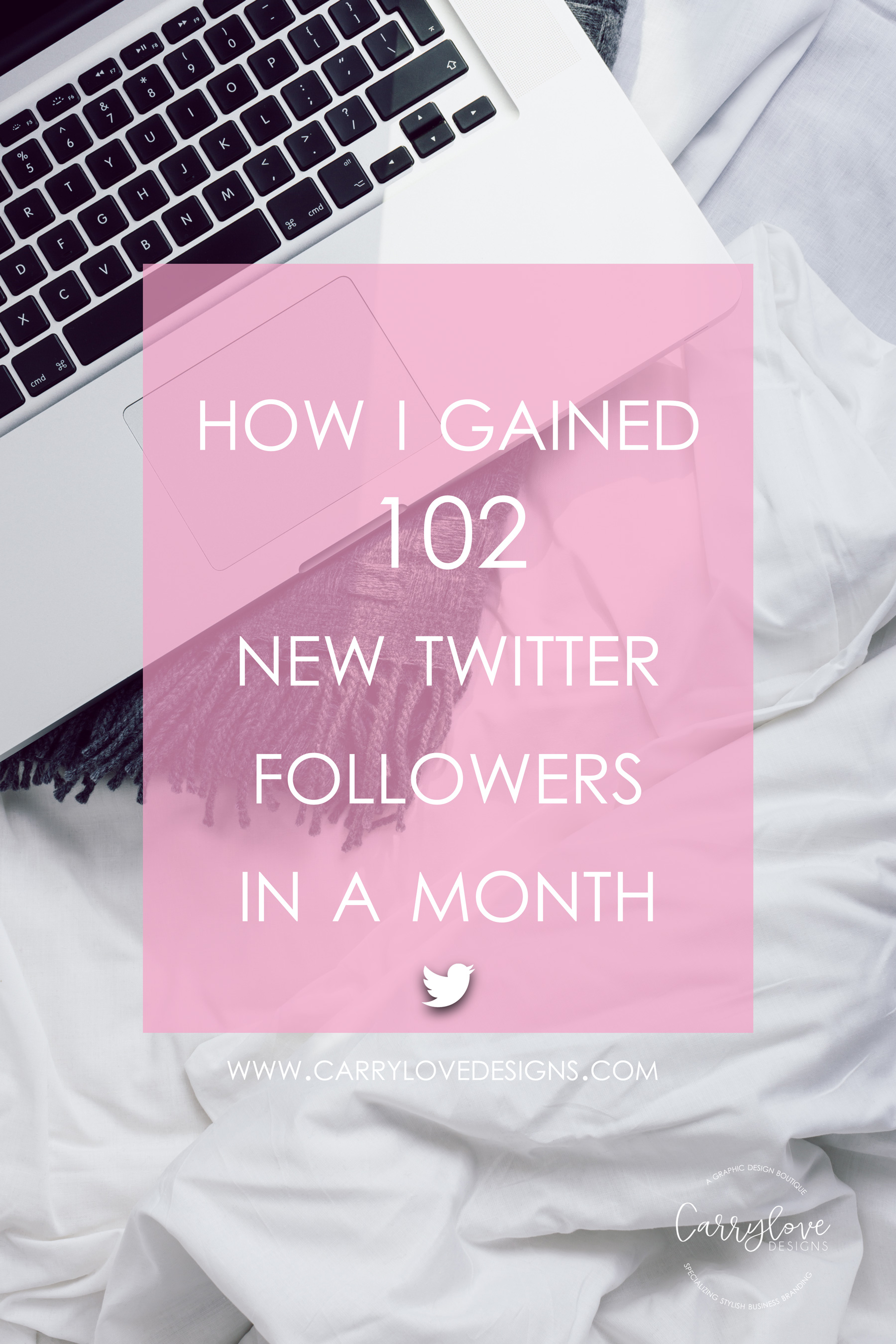 How-I-Gained-102-New-Twitter-Followers-In-a-Month-Display